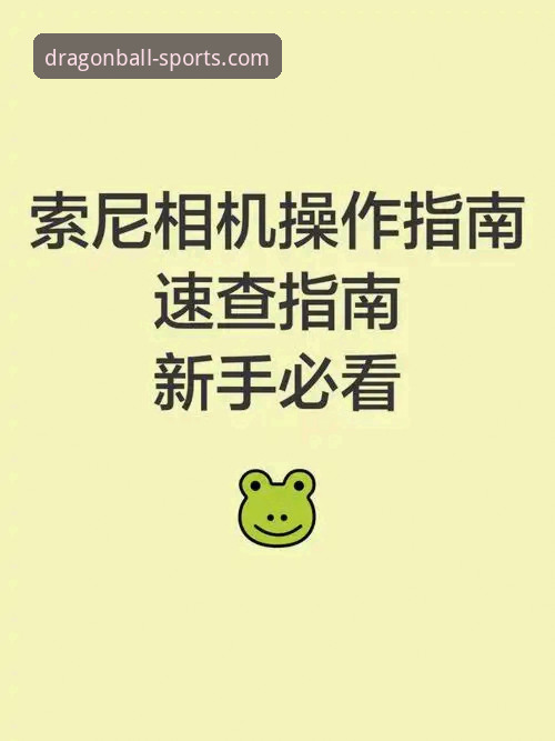 龙珠体育下载安装最新动态：新手用户必看的完整操作指南与实用技巧