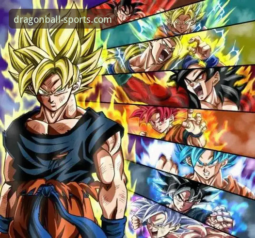 龙珠体育官网的3大核心优势与2个专业分析推荐维度